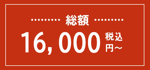 総額13,000円（税抜）～